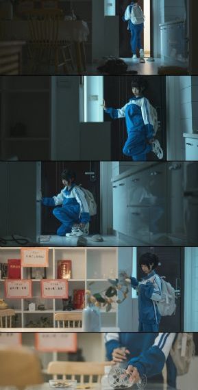 血狼犬电影完整版免费观看视频